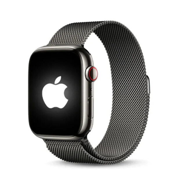 SERIES 10 APPLE LOGO WITH MAGNETIC CHAIN